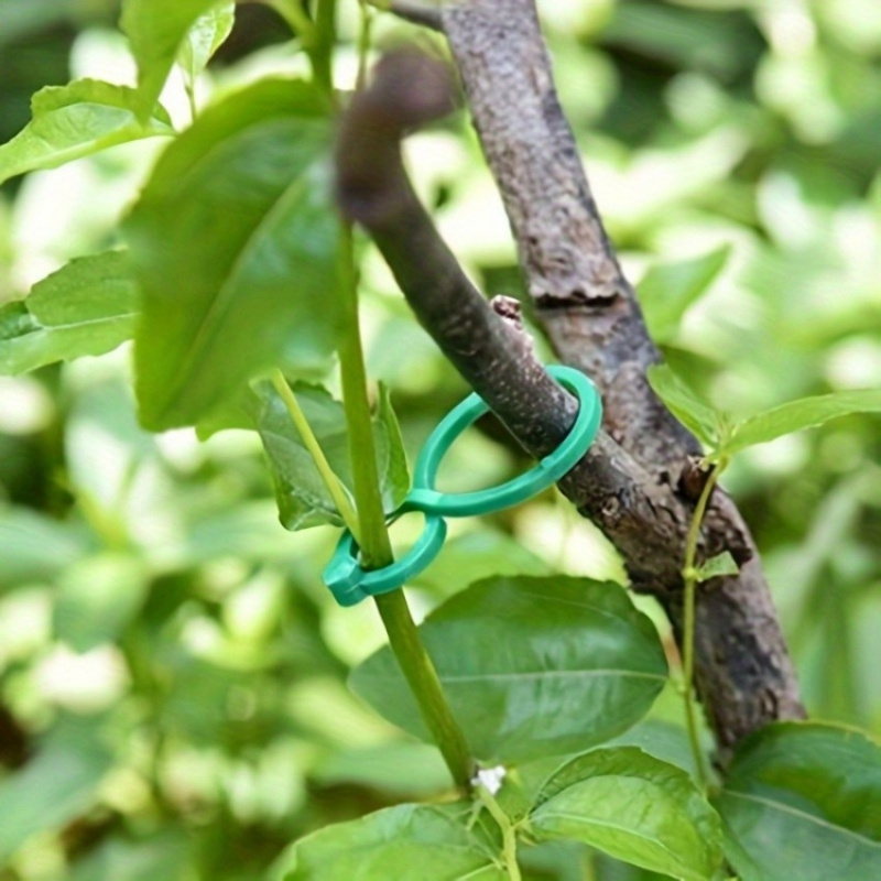 125Pcs Garden Plant Support Ki - огляд і ціна Plant Parent Kit