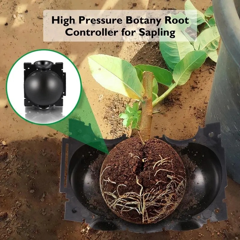 5/30Pcs Plant Rooting Ball Gra - огляд і ціна Plant Parents