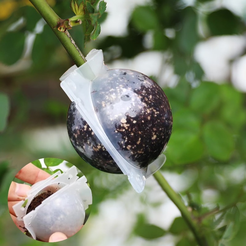 5/30Pcs Plant Rooting Ball Gra - огляд і ціна Plant Parents