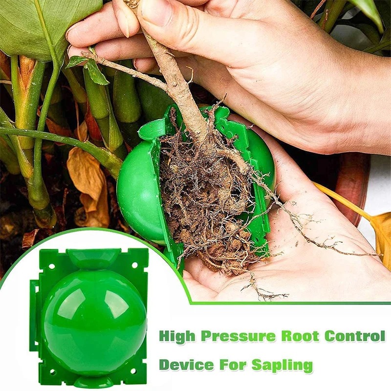 5/30Pcs Plant Rooting Ball Gra - огляд і ціна Plant Parents