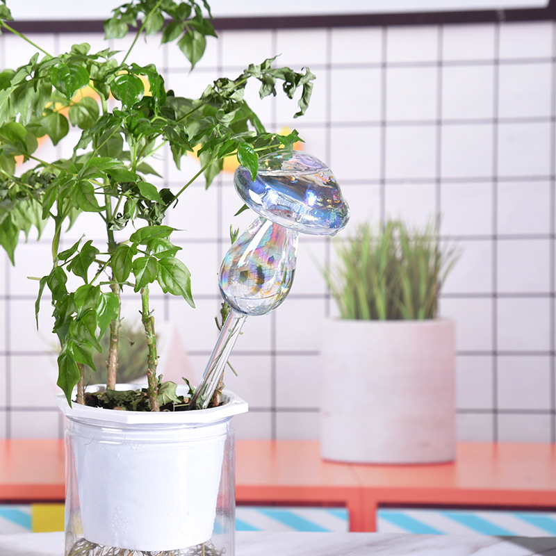 1/2PCS Glass Straw Automatic P - огляд і ціна Plant Parent Kit