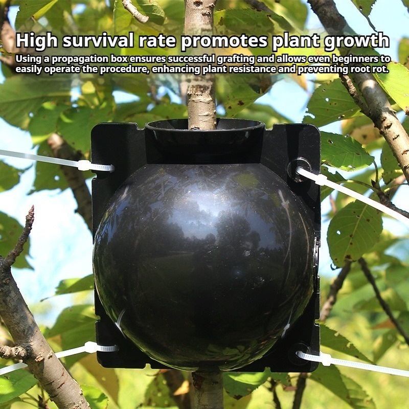 10pcs Plant Propagation Kit: H - огляд і ціна Plant Parent Kit