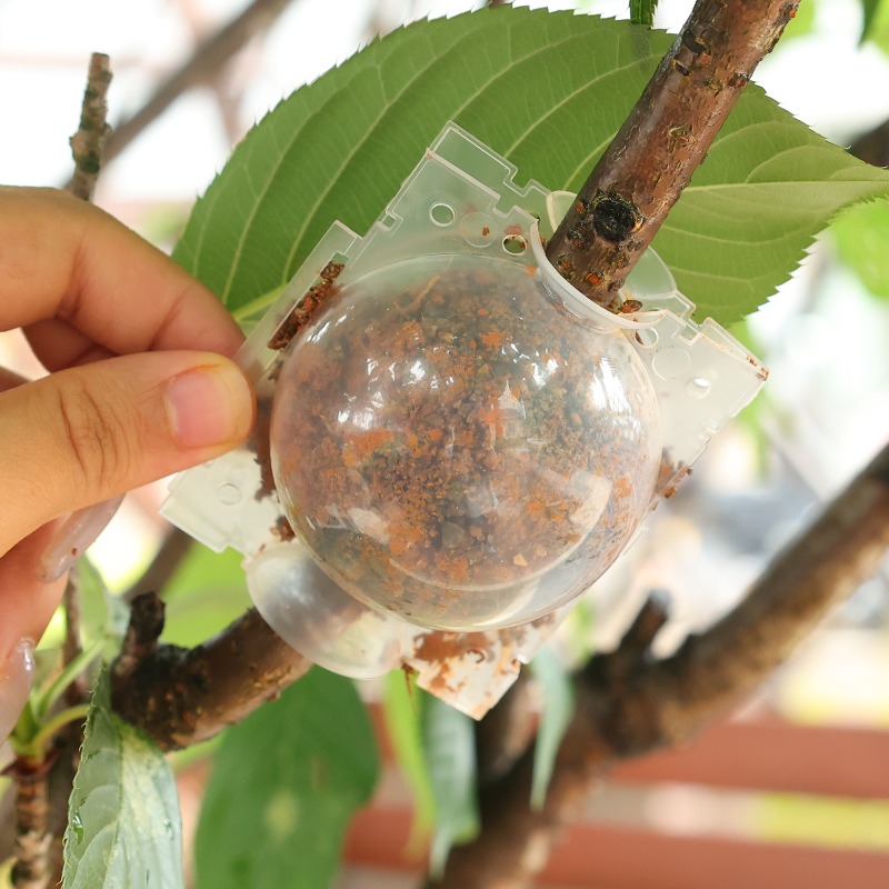 Air Layering Pods Plant Rootin - огляд і ціна Plant Parents
