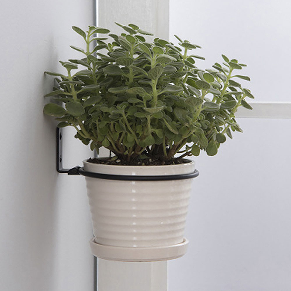 Flower Pot Trays Wall Mounted  - огляд і ціна Plant Parents
