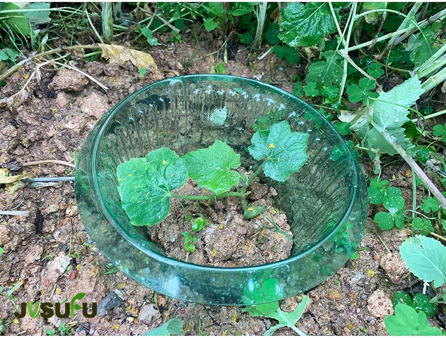 1/30pcs Plants Slug Protection - огляд і ціна Plant Parents
