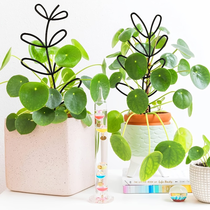 3Pcs Plant Support Frame Climb - огляд і ціна Plant Parents