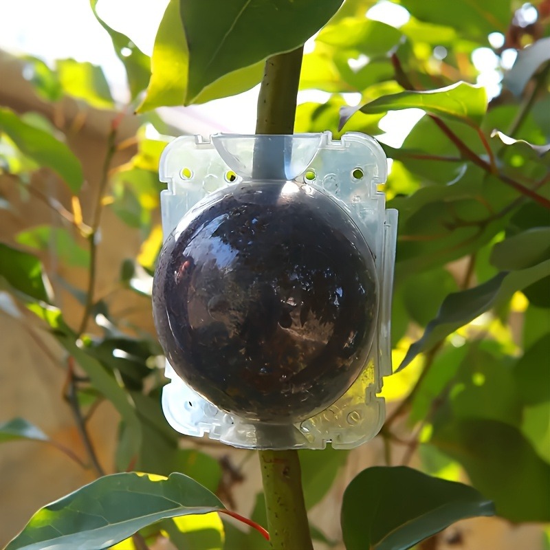10pcs Plant Propagation Box Se - огляд і ціна Plant Parents