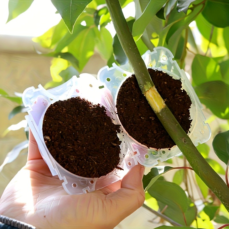 10pcs Plant Propagation Box Se - огляд і ціна Plant Parents