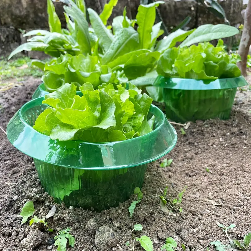 Plants Slug Protection Rings V - огляд і ціна Plant Parents