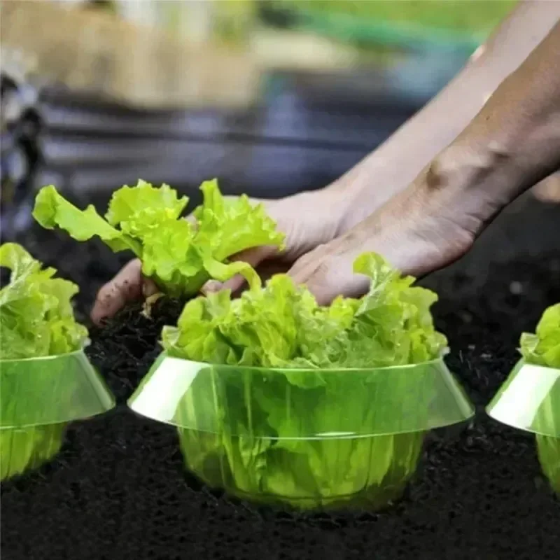 Plants Slug Protection Rings V - огляд і ціна Plant Parents