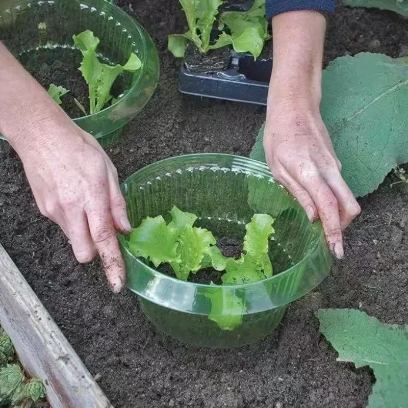 Plants Slug Protection Rings V - огляд і ціна Plant Parents