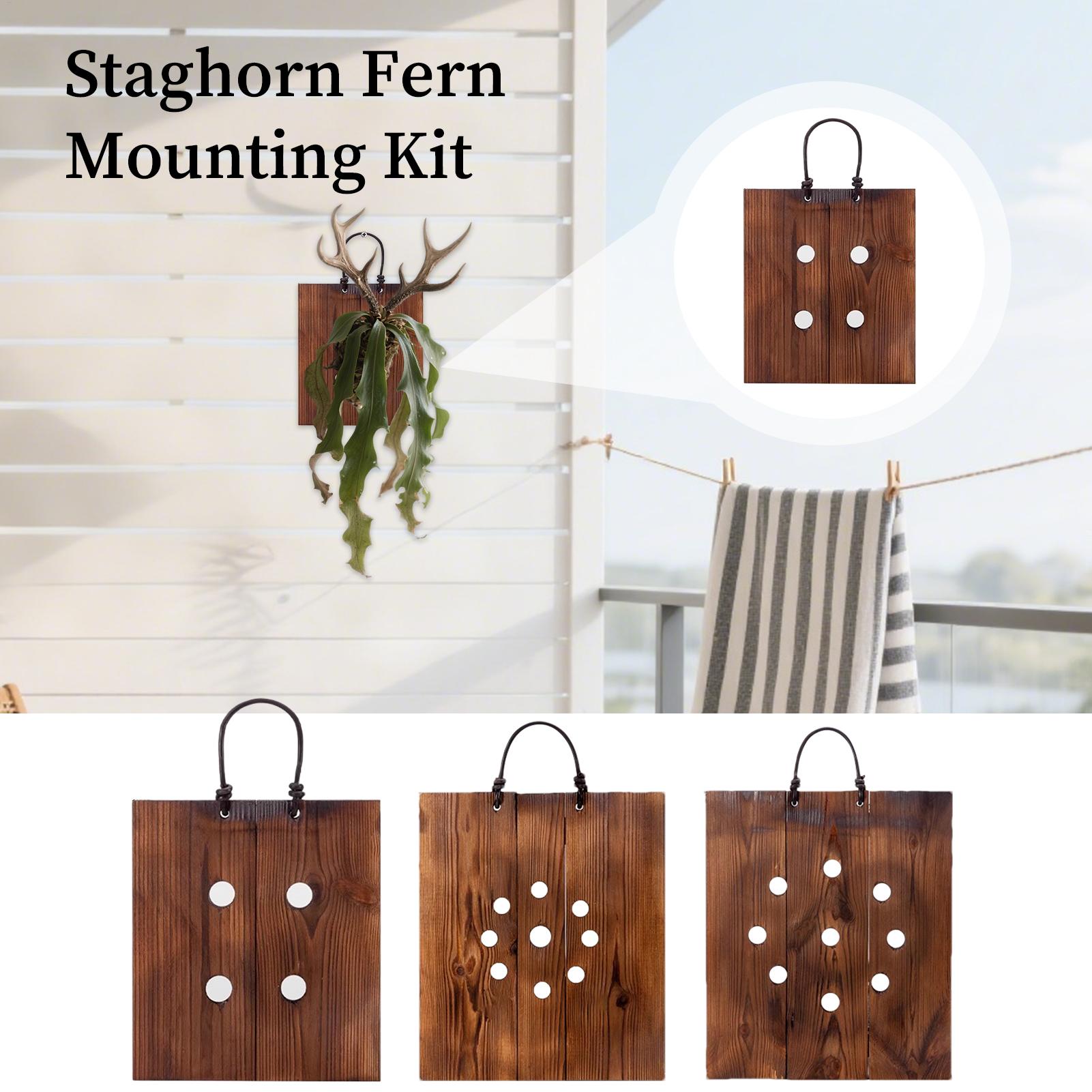 Staghorn Fern Wall Mount Board - огляд і ціна Plant Parents