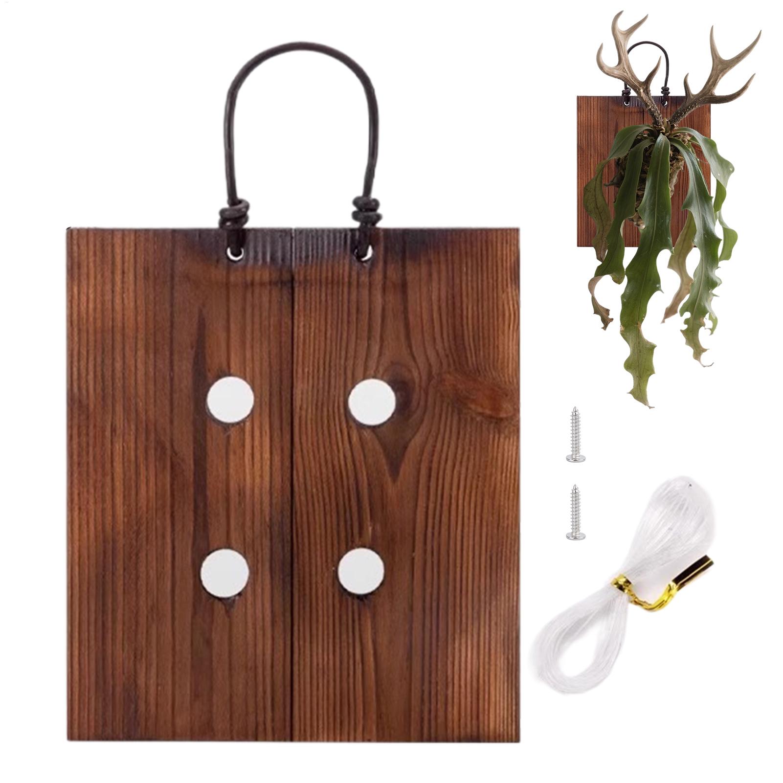 Staghorn Fern Wall Mount Board - огляд і ціна Plant Parents