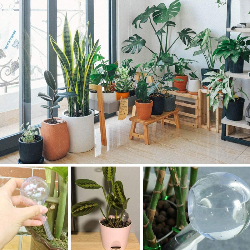 5/10PCS Automatic Plant Wateri - огляд і ціна Plant Parent Kit